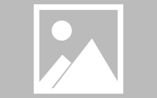 深圳搭建网站招聘信息（网站制作 招聘）